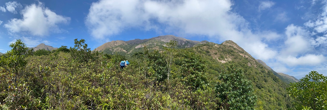 Hiking Picture